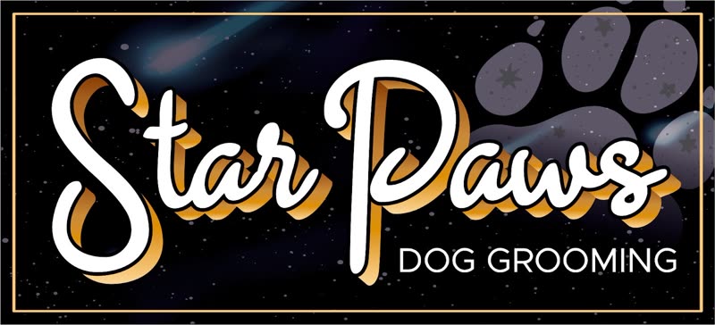 Star Paws Dog Grooming brand mark, dark starry background, 3:2 crop